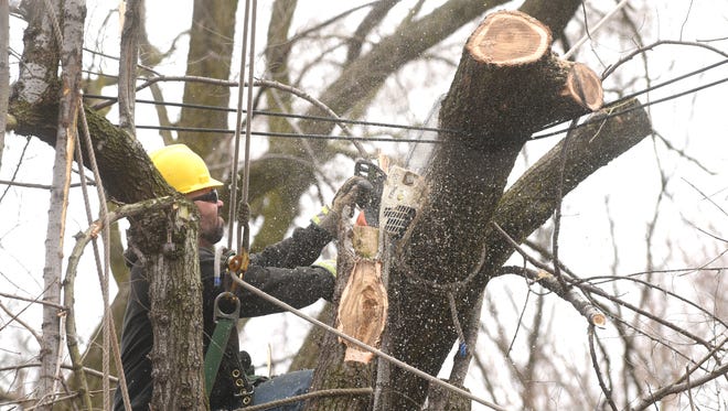 DTE line clearance tree trimmer Darryl Thivierge cuts a downed branch resting atop power lines on Berg Road in Detroit Thursday after high winds caused massive power outages.