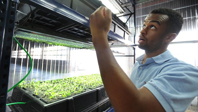 Green Collar Foods operations director Darren Riley explains the process of misting plants at Eastern Market.