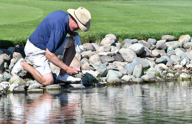 Renze Hoeksema, DTE Energy director, State Government Affairs, retrieves his ball from the water feature on hole No. 14.