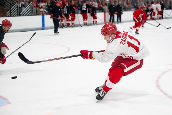 Red Wings prospect Filip Zadina opened the season with Grand Rapids, while the player selected one spot after him, Quinn Hughes, is playing for the Vancouver Canucks.