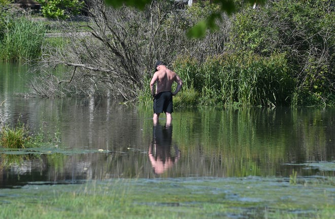 Brian Adam of Romulus walks in a flooded field near the banks of the Trenton Channel in Elizabeth Park on July 1, 2019.