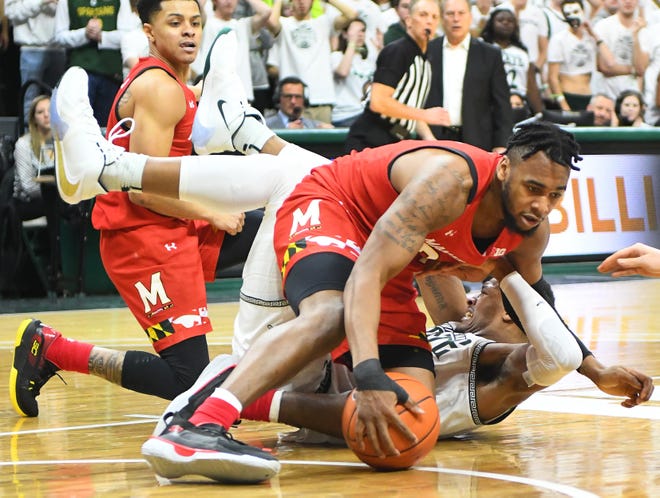 Maryland's Donta Scott and Spartans' Xavier Tillman on the court battling for a loose ball in the second half during the 67-60 Terrapin victory over MSU in E. Lansing, Michigan on February 15, 2020.