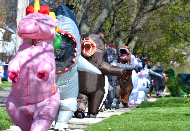 Group founder  and unicorn Sarah Ignash, left, is followed by her husband, David Ignash in the shark costume, as they walk through the neighborhoods. Members of the Ferndale T-Rex Walking Club put on their inflatable costumes and get exercise while walking around the south end of Ferndale, Friday afternoon, May 1, 2020. All the while social distancing, they hope to bring cheer to neighbors along the route.