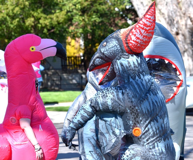 Characters talk before walking. Members of the Ferndale T-Rex Walking Club put on their inflatable costumes and get exercise while walking around the south end of Ferndale, Friday afternoon, May 1, 2020. All the while social distancing, they hope to bring cheer to neighbors along the route.