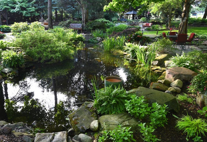 The stream leads to a koi pond. The couple relies on Aquatic Oasis in Whitmore Lake to help them maintain the pond.