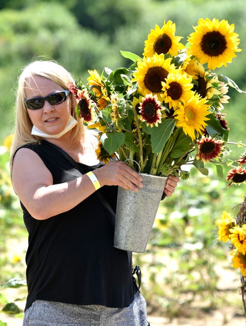 Elaine Ponus, of Clinton Twp., carries a vessel full of sunflowers.