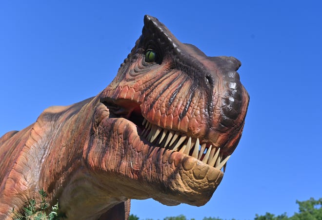 A Tyrannosaurus Rex towers over vehicles at the opening of Jurassic Quest at DTE Energy Music Theatre.