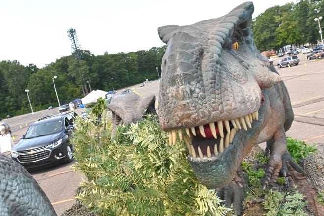 Vehicles pass the many dinosaurs on exhibit at Jurassic Quest, an interactive drive-thru experience at DTE Energy Music Theatre in Clarkston.