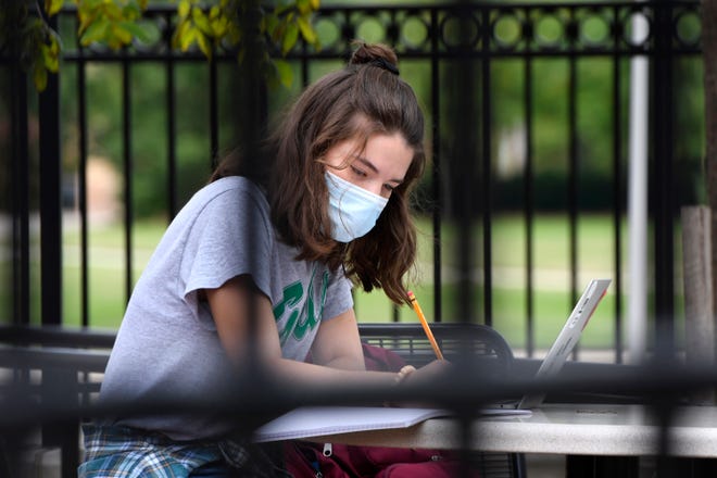 MSU sophomore Angela Petterson of Adrian studies alone for an Integrated Social Sciences class outside on campus Saturday in East Lansing.