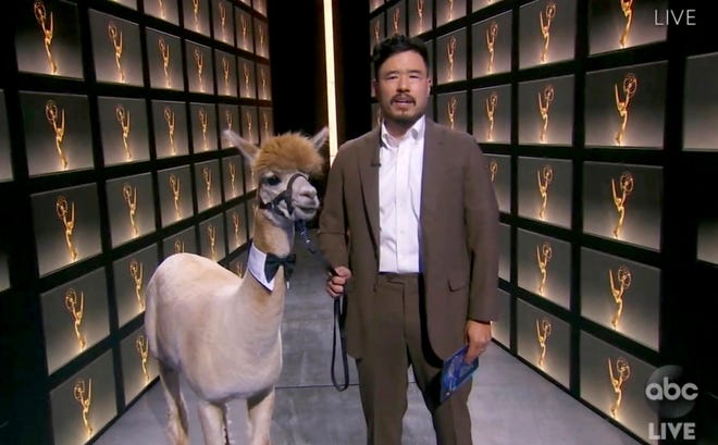 In this video grab captured on Sept. 20, 2020, courtesy of the Academy of Television Arts & Sciences and ABC Entertainment, Randall Park, with Isabella the Alpaca, presents the award for outstanding writing for a limited series, movie or dramatic special during the 72nd Emmy Awards broadcast.